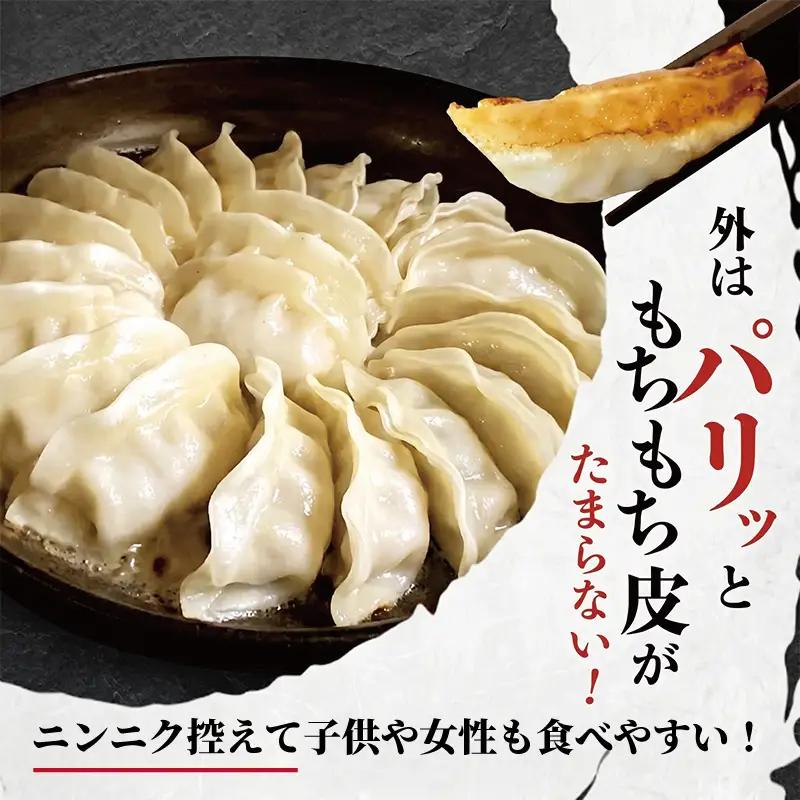 ブランド豚使用 湘南生餃子 192個 約3.8kg【 餃子 ぎょうざ 】