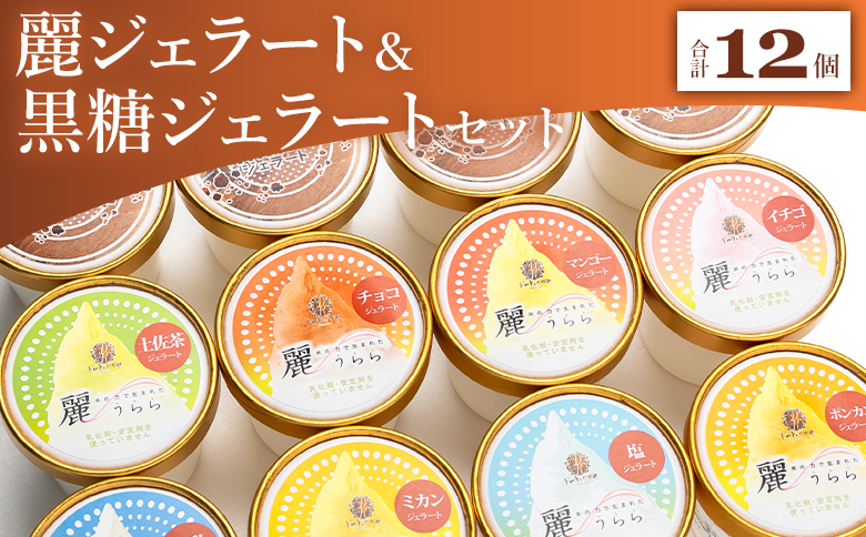 麗ジェラートと黒糖ジェラート 12個セット dc-0039