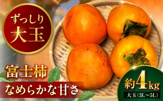 柿【先行予約】富士柿 4kg  かき 果物 ギフト フルーツ たねなし 種なし 柿 かき カキ 大玉 果物 くだもの デザートなめらか 味わい 変化 トロトロ 甘い 完熟 食感 秋の味覚 旬 柿ジャム スイーツ アレンジ 料理 稀少 品種 愛媛県産 大洲市産 産地直送 食卓 バイヤー 厳選 おすすめ 人気 お取り寄せ 送料無料 贈答 愛媛県大洲市/有限会社西山青果 [AGAR015]