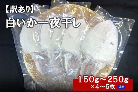 【訳アリ】白いか一夜干し　（１５０ｇ～２５０ｇｘ４～５枚）訳アリ 小分け いか 白いか 個包装 一夜干し 産地直送 おつまみ 【1962】