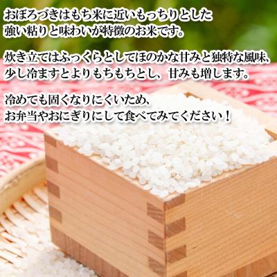 ふるさと納税 新ひだか町 < 定期便 12回 > 北海道産 希少米 おぼろづき 白米 10kg ( 5kg ×2 ) 新ひだか町 |  | 02