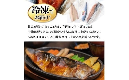 【定期便】いずま海産のごちそうサバ3品セット干物8枚頒布会【奇数月6回お届け】干物