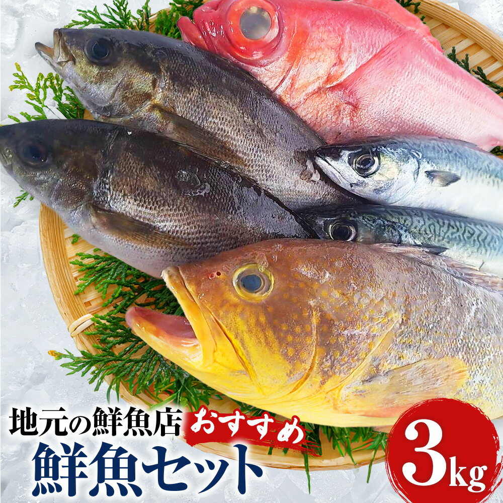 【ふるさと納税】長崎産 地元の鮮魚店 おすすめ鮮魚BOX 3kg 魚 旬 新鮮 獲れたて 海鮮 魚介類 下処理済 3枚おろし対応可 長崎市 送料無料