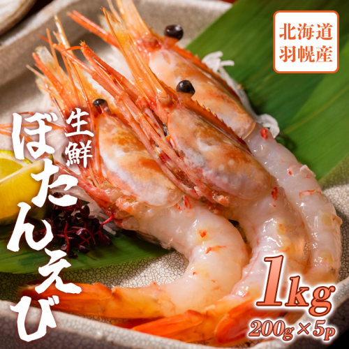 超速リキッド凍結でドリップゼロ！北海道羽幌産生鮮ぼたんえび 1kg（200g×5パック）【03119】