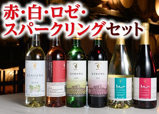 
            十勝ワイン 赤・白・ロゼ・スパークリング6本セット 赤ワイン 白ワイン スパークリングワイン お祝い ディナー パーティー
          