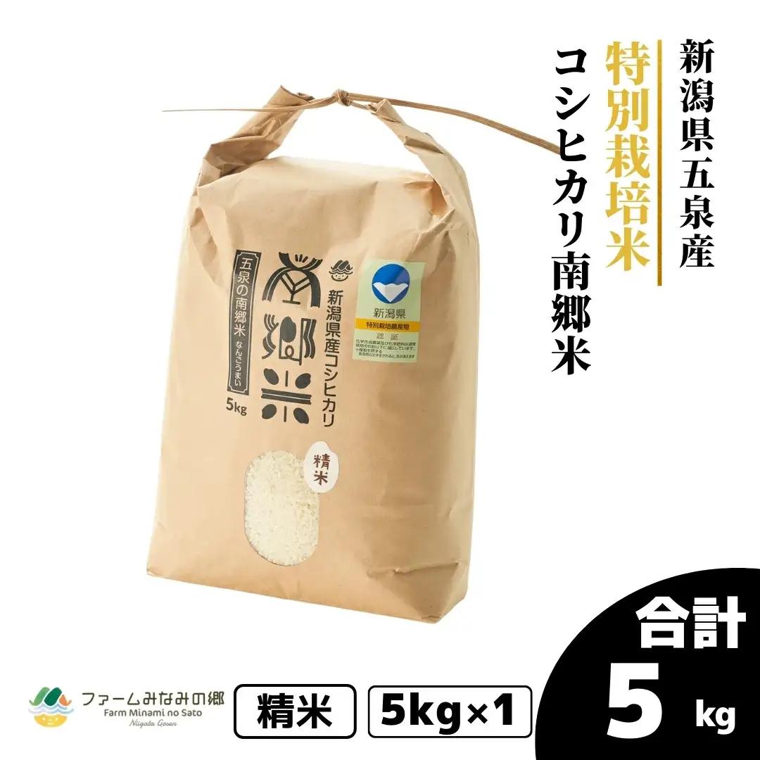 【先行予約】令和8年産 新米 コシヒカリ 5kg 南郷米 特別栽培米 こしひかり | 新潟県 五泉市 コシヒカリ