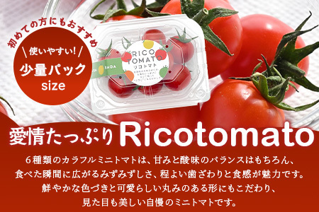 【4回定期便】【先行予約】完熟ミニトマト 【少量パック】120gx3p　たにぐちファーム 完熟ミニトマト 360g とりこになるトマト 野菜 とまと トマト リコピン 佐賀産 佐賀県 鹿島市　E-16