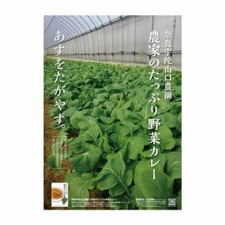 定期便 ３ヶ月 農家のたっぷり野菜カレー １０個 月１回 ／ 山口農園 有機野菜 オーガニック 伝統野菜 レトルト カレー キャンプ 奈良県 宇陀市_イメージ2