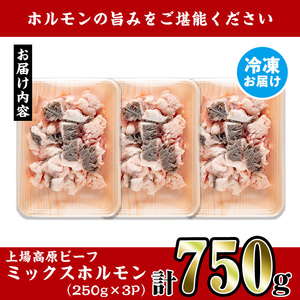 i1157 上場高原和牛ミックスホルモン(計750g・250g×3P) 上場高原ビーフ ホルモン ミックスホルモン 焼肉 鉄板焼き もつ鍋 炒めもの 冷凍 小分け 牛肉 【スーパーよしだ】