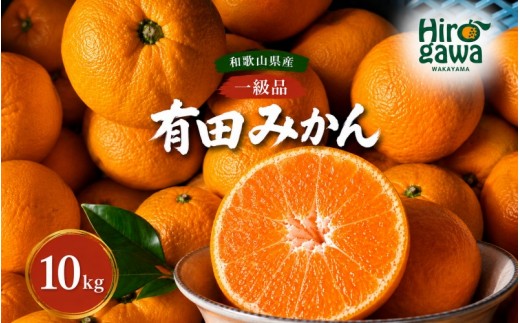 有田みかん 10kg【hkt004-p-10A】