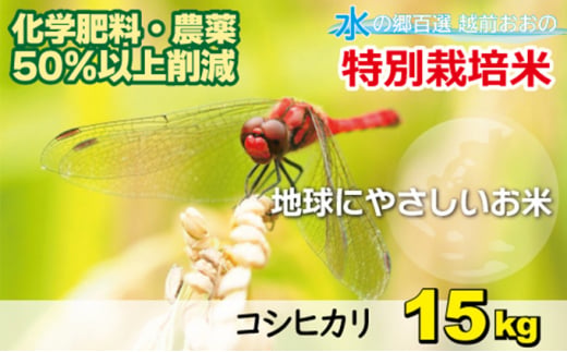 【令和7年産】こしひかり 15kg【白米】減農薬・減化学肥料 「特別栽培米」－地球にやさしいお米－