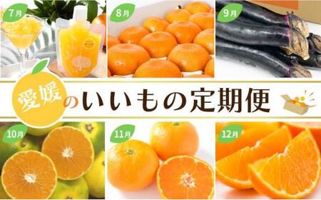  【定期便12回】愛媛のいいもの定期便（かんきつ・お野菜・ジュレ） ( 柑橘 定期便 みかん 定期便 みかん 定期便 オレンジ 定期便 野菜 定期便 ジュレ) 【KK108_x】