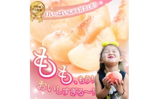 《先行受付》品種おまかせ 白桃 約5kg【丸秀以上】 （18～25玉）【2026年8月上旬頃～9月中旬発送予定】