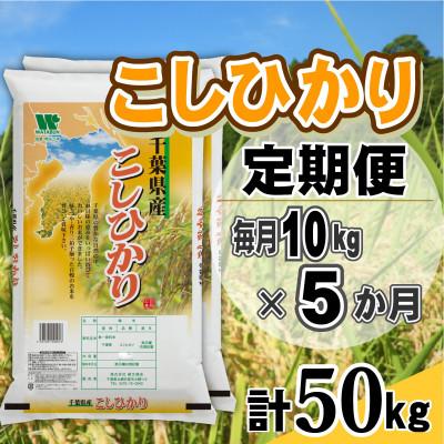 ふるさと納税 大網白里市 【毎月定期便】コシヒカリ 精米 10kg (5kg×2袋)全5回