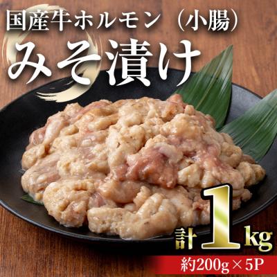 ふるさと納税 曽於市 国産牛ホルモン(小腸)みそ漬け　1kg