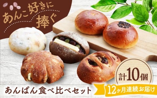 【12回定期便】 あんこ好きの食べ比べ 10個セット 【パンの店 カッタン】 パン あんぱん 大人気店 [MEJ012]