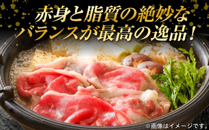 葉山牛肩ロースすき焼き用 250g×2パック 計500g 小分け 牛肉 すきやき 冷凍 【株式会社羽根】 [AKAG004]