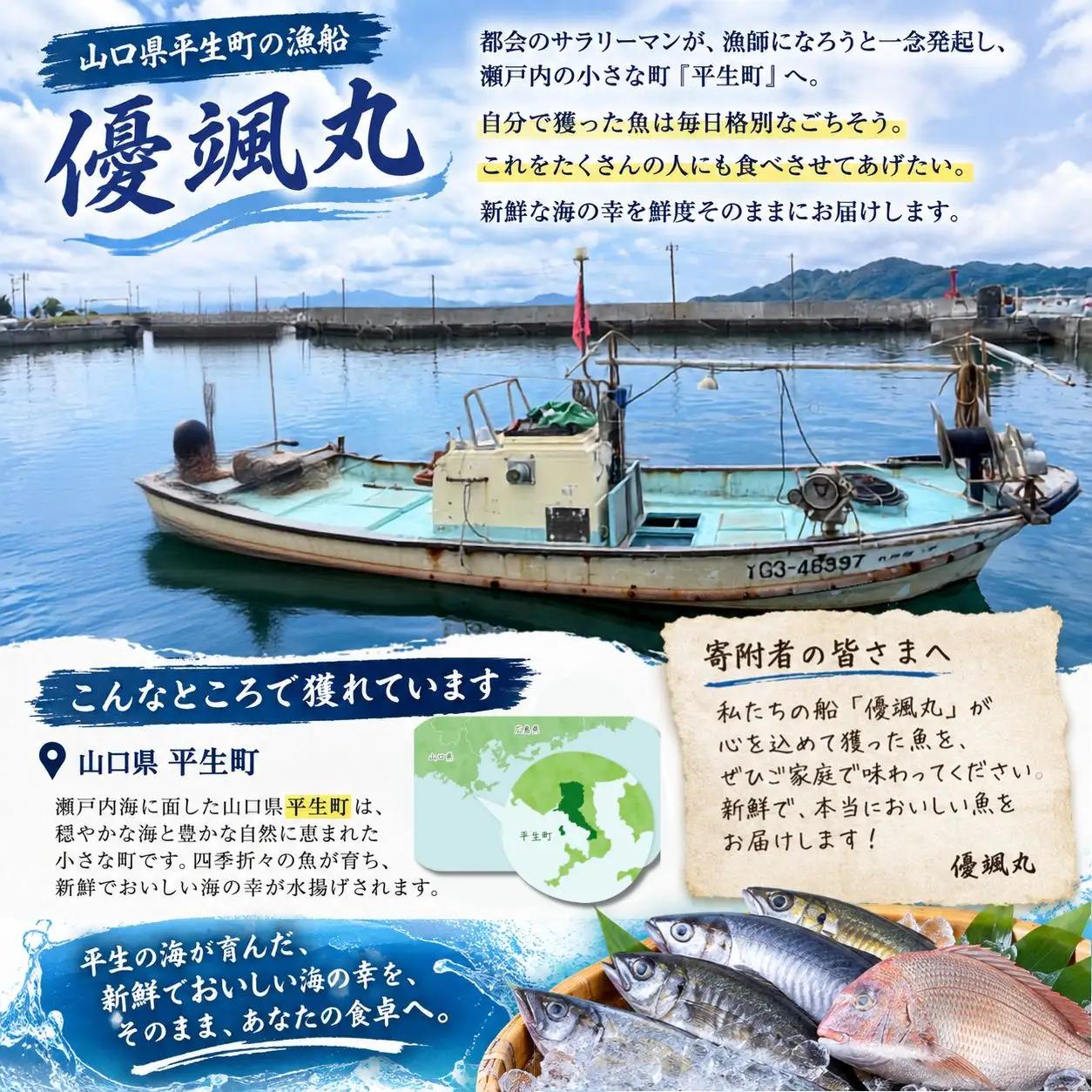瀬戸内海の幸セット 生タコ チルド 約 1.5kg