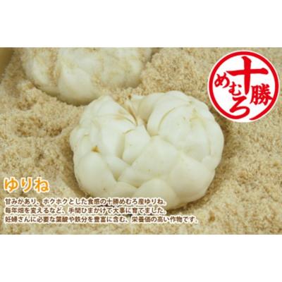 ふるさと納税 芽室町 【先行受付】【12月中旬より発送】北海道十勝芽室町 ゆりね 1kg(Lサイズ9玉入り1kg) |  | 01