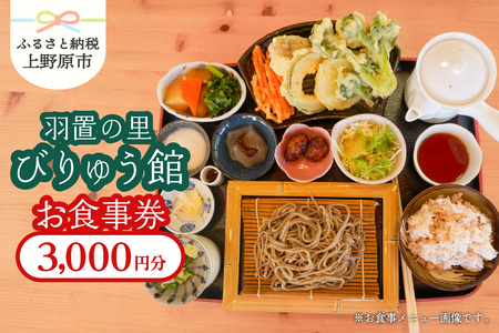 ［羽置の里 びりゅう館］お食事券【3,000円分】