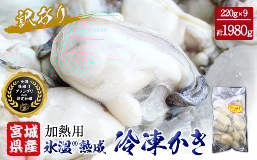 牡蠣 ＜訳あり＞ 氷温熟成 かき 220g × 9パック 加熱用 むき身 冷凍 バラ冷凍 個包装 カキ 不揃い 貝 魚貝類 貝類 海の幸 BBQ バーベキュー 海の幸 おつまみ 宮城県 石巻市 ふるさと納税 送料無料 18000円 ふるさと納税 まるたか水産