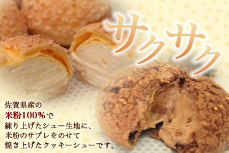 B-480　米粉のクッキーシューと米粉のチョコクッキーシュー10個詰め合わせ　【バレンタイン・ホワイトデー対応可】