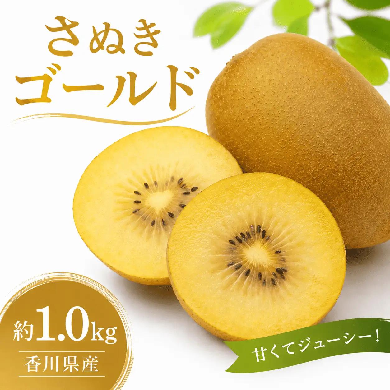 【10月順次発送】さぬきゴールドキウイ 約1.0kg キウイ フルーツ 果物 香川県 丸亀市