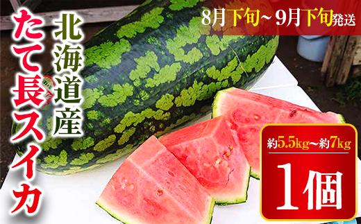 【2026年8月下旬より発送】北海道厚沢部町産 たて長スイカ1個 約5.5kg～約7kg（8月下旬から9月下旬の間に発送）  【 ふるさと納税 人気 おすすめ ランキング スイカ すいか 西瓜 おいしい 甘い 北海道 厚沢部 送料無料 】 ASO026