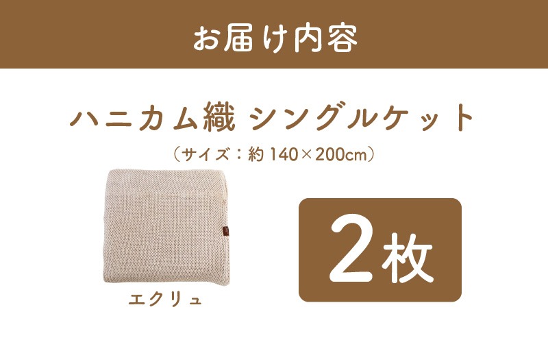 G2913 【スピード発送】“熟睡を追求した”泉州南部織/ハニカム織 シングルケット 2枚（エクリュ）