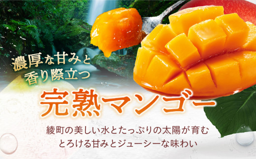 先行予約 数量限定 希少 完熟マンゴー 1玉 生ライチ 1パック セット マンゴー 宮崎 国産ライチ 果物 フルーツ くだもの 2027年 国産 高級 南国フルーツ 詰め合わせ おすすめ ギフト 贈り