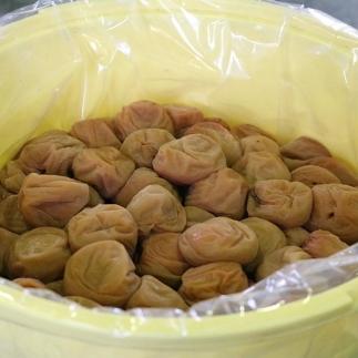  【贈答用】紀州南高梅 優梅 400g 化粧箱入 【US26】