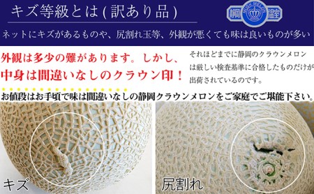 メロン 3か月定期便 訳あり2玉 果物類 青肉 3回 メロン