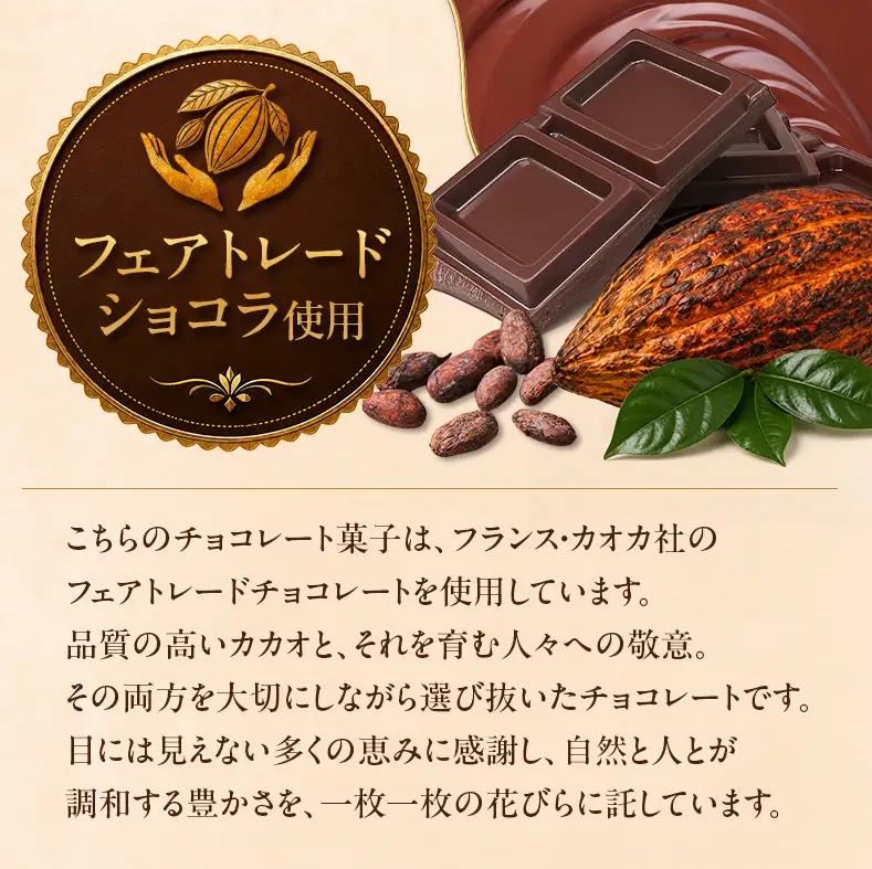 【花びらのようなチョコレート ミルティペタル】6つのフレーバーをお楽しみください＜福岡市＞ | チョコ チョコレート お菓子 スイーツ お取り寄せ お取り寄せスイーツ かわいい おしゃれ ギフト プレ