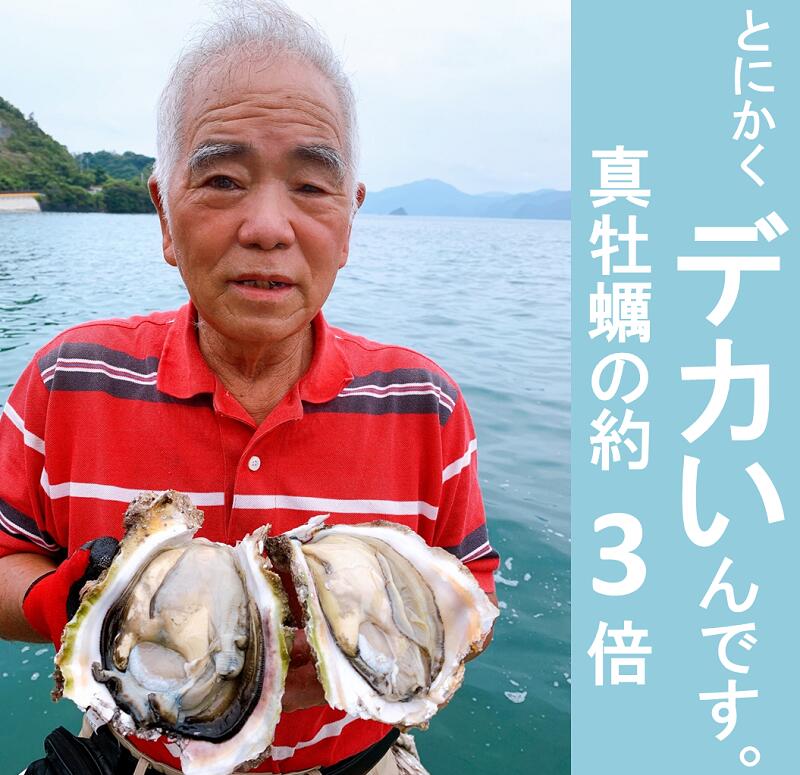 (1405)牡蠣 カキ 岩ガキ 岩がき 岩牡蠣 岩カキ 大容量 海のミルク 濃厚 クリーミー 夏バテ防止 10kg 冷凍 焼き 蒸し 加熱