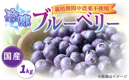 【先行予約受付中】築上町産 冷凍 ブルーベリー 1kg【2024年9月以降順次発送】《築上町》【(有)工房よしかわ】国産 ブルーベリー [ABAK001] 13000円 1万3千円