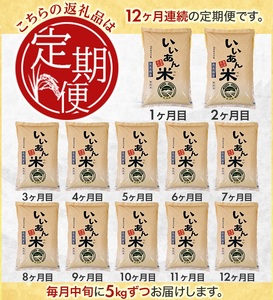 SR0004　【12回定期便】無洗米はえぬき　5kg×12回(計60kg)　農家直送『いいあん米』AG