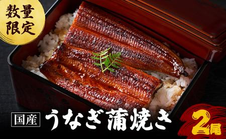 【数量限定】 うなぎ 蒲焼き 2尾 鰻 ウナギ 国産 鰻の蒲焼 うなぎ
