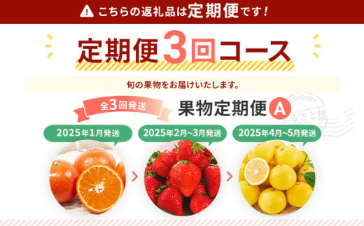 【定期便 3回発送】果物定期便B 2024