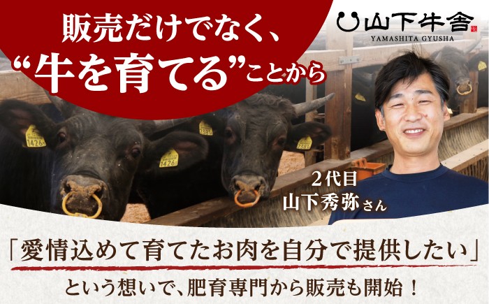 佐賀牛 A5 ヒレステーキ 200g （100g×2枚）【山下牛舎】[HAD172]牛肉 肉 ヒレ フィレ ステーキ 希少部位