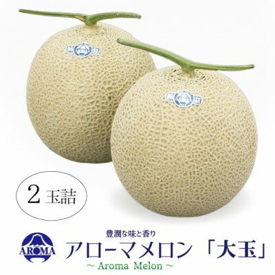 【ふるさと納税】【通年出荷】アローマメロン 白等級(大玉) 2玉入【配送不可地域：離島・北海道・沖縄県】【1170111】