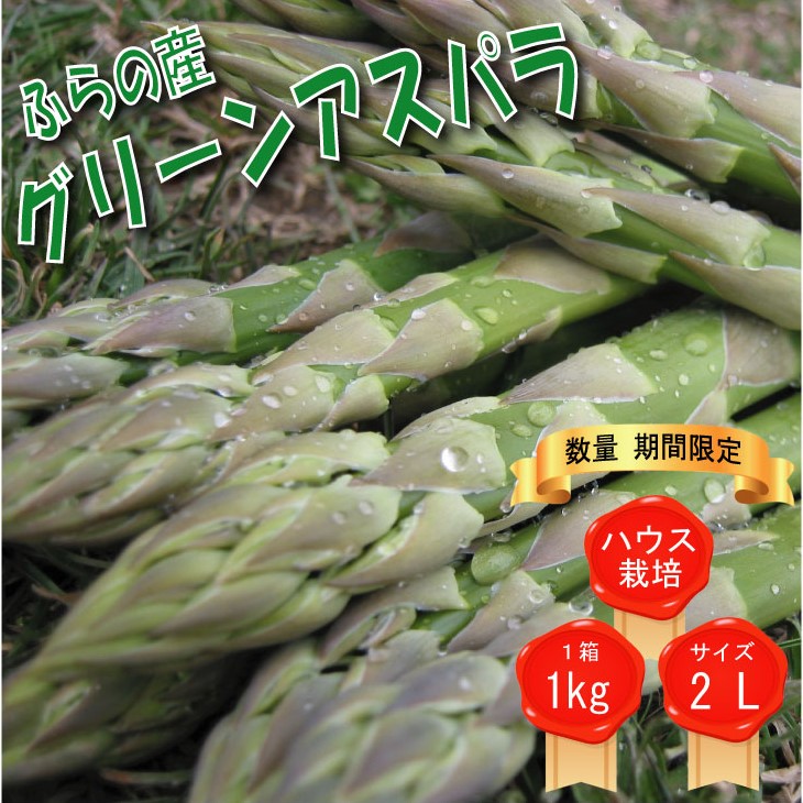 2025年春発送 ふらの産 グリーンアスパラ1kg［2Lサイズ］ハウス栽培 富良野 北海道 野菜 アスパラ 朝採り