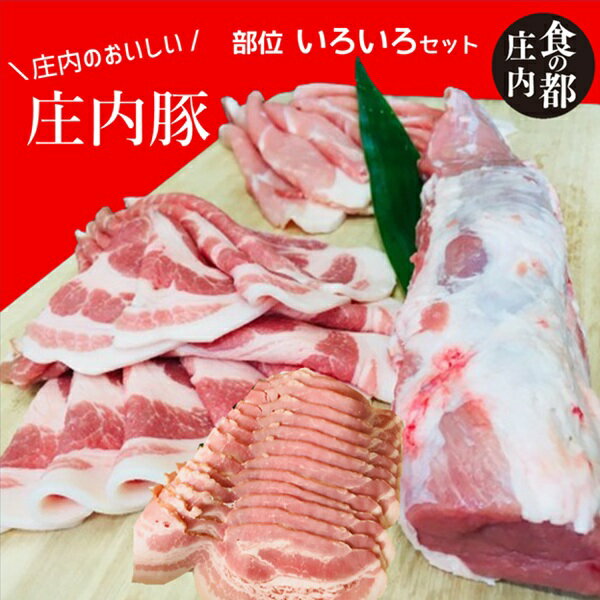 【ふるさと納税】食の都庄内　庄内豚いろいろセット（もも肉・肩ロース・ロースしゃぶしゃぶ用・ヒレ・ベーコン）（やまがた庄内産直出前便実行委員会）