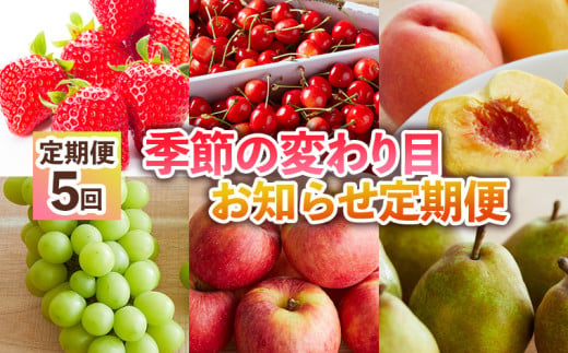 【定期便5回】季節の変わり目お知らせ定期便 FY24-512