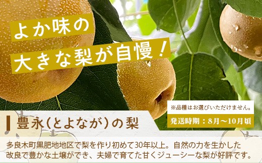 【フルーツ 定期便 3回】2026年発送 メロン・桃・梨