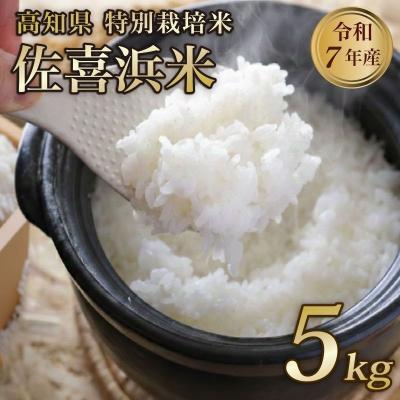 ふるさと納税 室戸市 特別栽培米 白米 5kg 令和7年度産 佐喜浜米