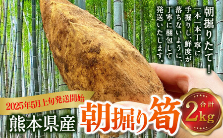 熊本県産 朝掘り 筍 約2kg 【2025年4月上旬発送開始】 たけのこ タケノコ 野菜