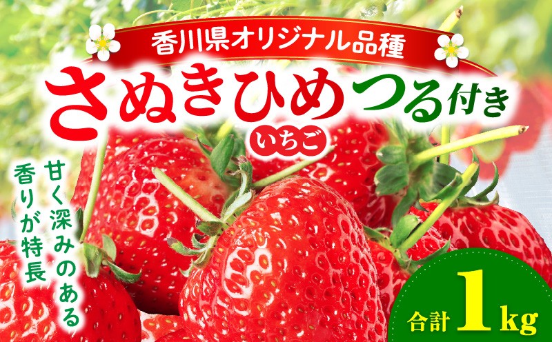 
            三木町地域いちご部会『さぬきひめ』　つる付き　1kg | スイーツ いちご ストロベリー イチゴ さぬき姫 さぬきひめ 苺 甘い 冷蔵 1kg以上 フルーツ 旬 果物 香川県 デザート 青果物 贈答 プレゼント 贈り物 おすすめ |_mk006-014
          