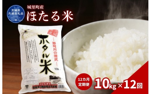 ほたる米 10kg 定期便 12ヶ月 米 こめ コメ お米 おこめ コシヒカリ ホタルマイ 白米 精米 ごはん ご飯 令和7年産 茨城県 城里町 高萩市（茨城県共通返礼品・城里町産）