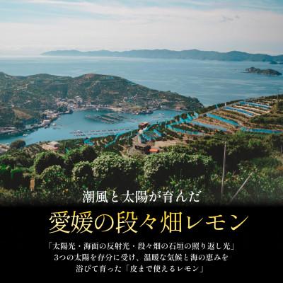 ふるさと納税 八幡浜市 【太陽の恵みをギュッと凝縮】訳あり 愛媛レモン5kg 防腐剤・ワックス不使用【C70-22】 |  | 02