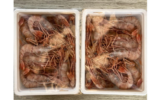 8-010-002　ましけのボタンエビ 700g（350g×2）